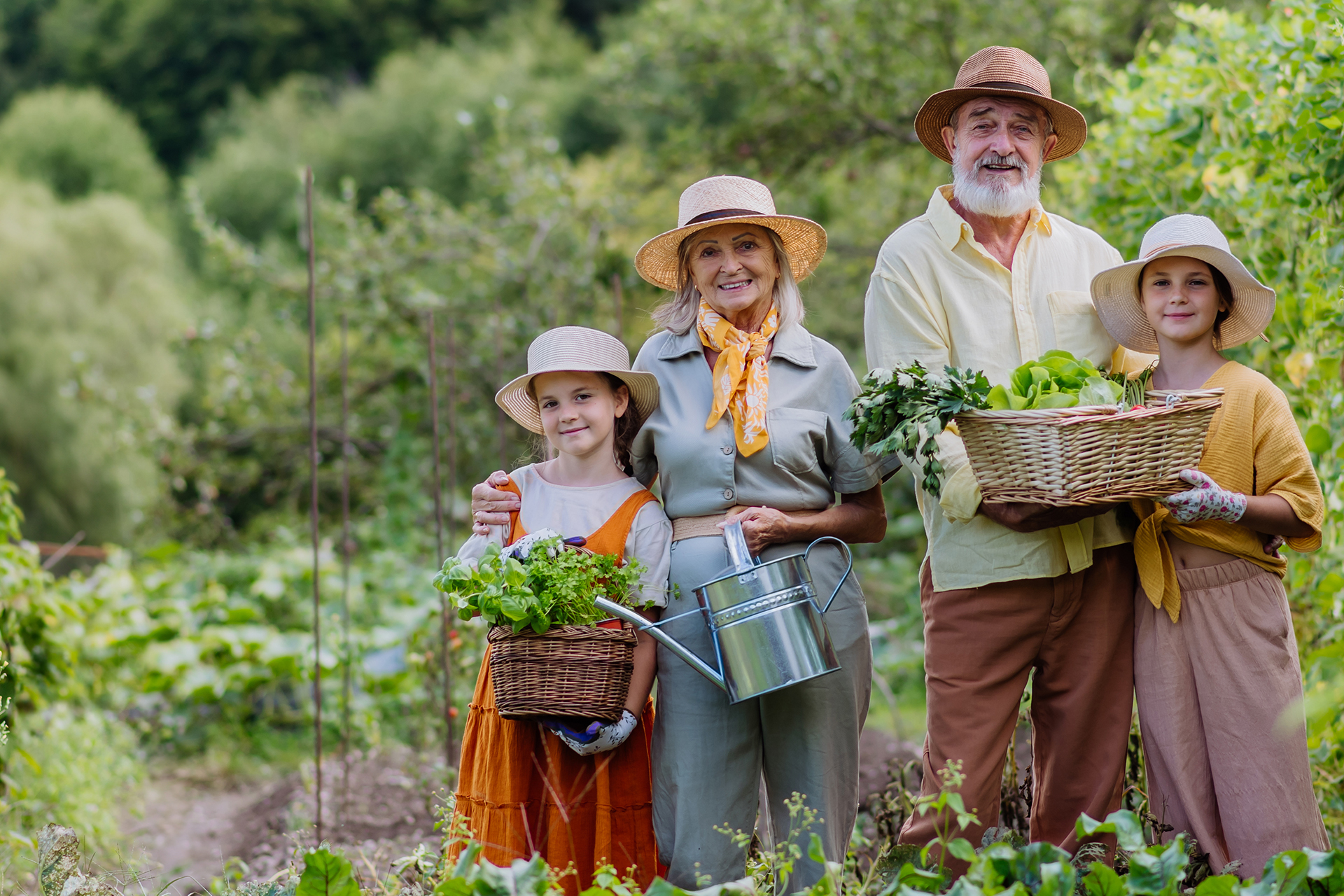 Pertanian Organik Solusi Kesehatan Manusia Dan Lingkungan
