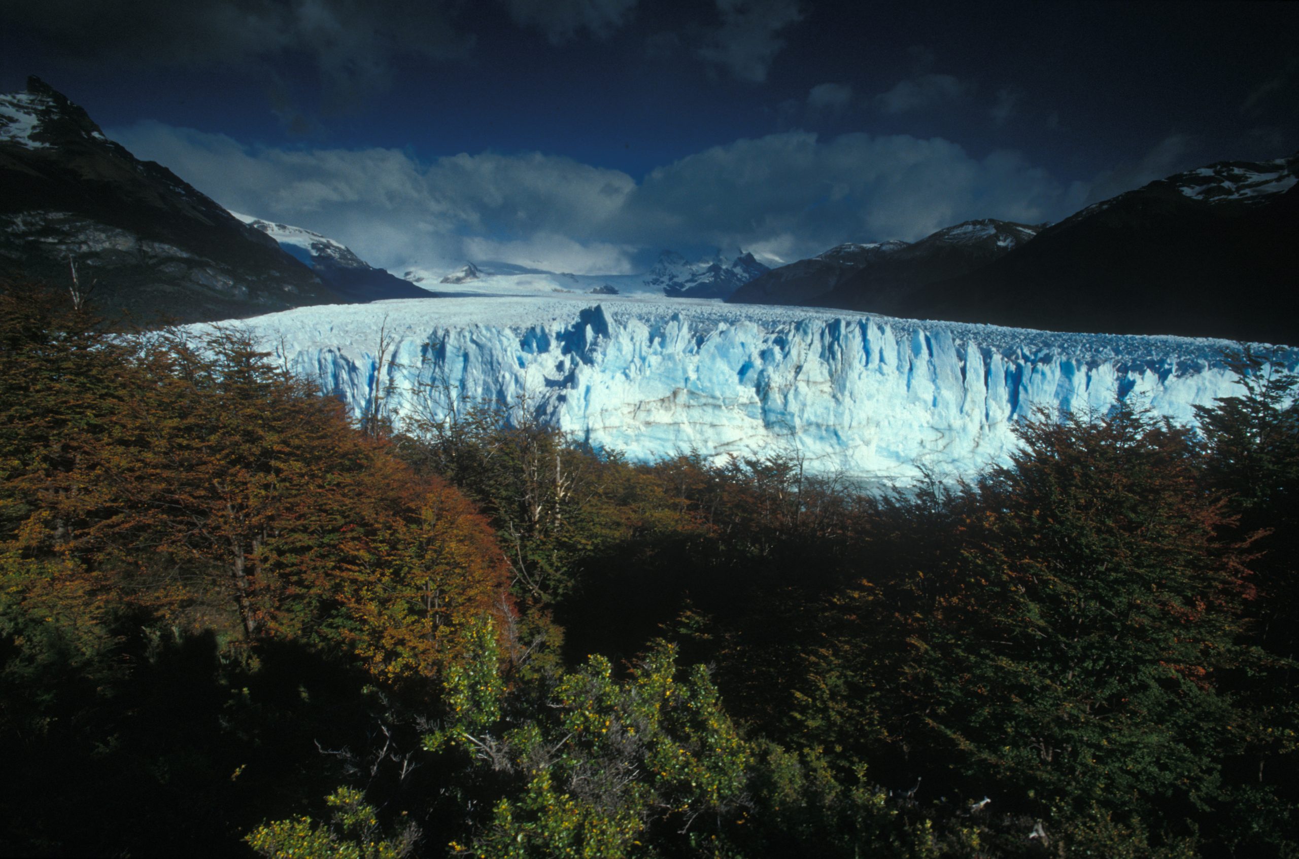 Pengaruh Perubahan Suhu Pegunungan Bagi Flora dan Fauna
