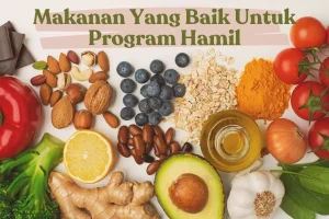 Makanan Penyubur Rahim