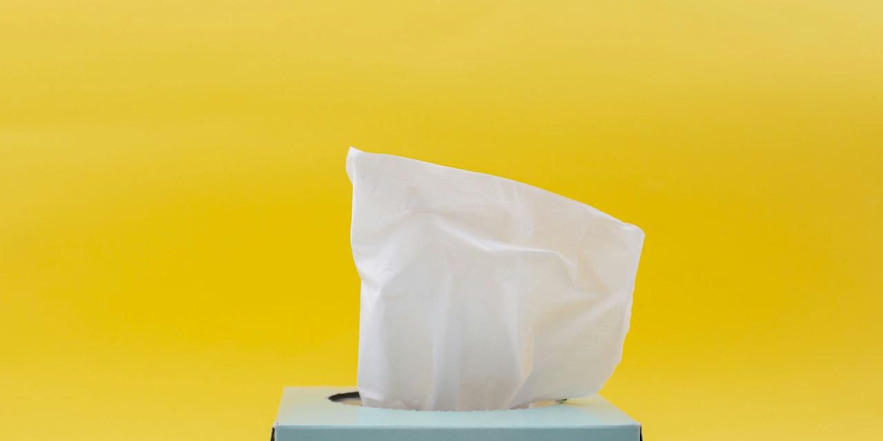 Jangan Tertipu Label “Hijau”, Cek Fakta Tisu Bambu!