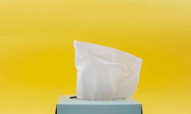 Jangan Tertipu Label “Hijau”, Cek Fakta Tisu Bambu!