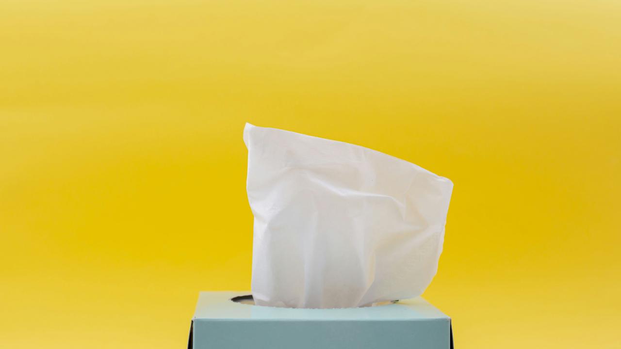 Jangan Tertipu Label "Hijau", Cek Fakta Tisu Bambu!