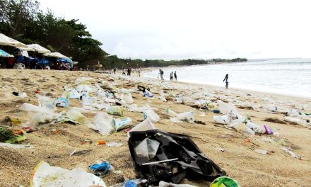 Sisi Lain Bali: Makin Populer, Makin Banjir Sampah Laut?