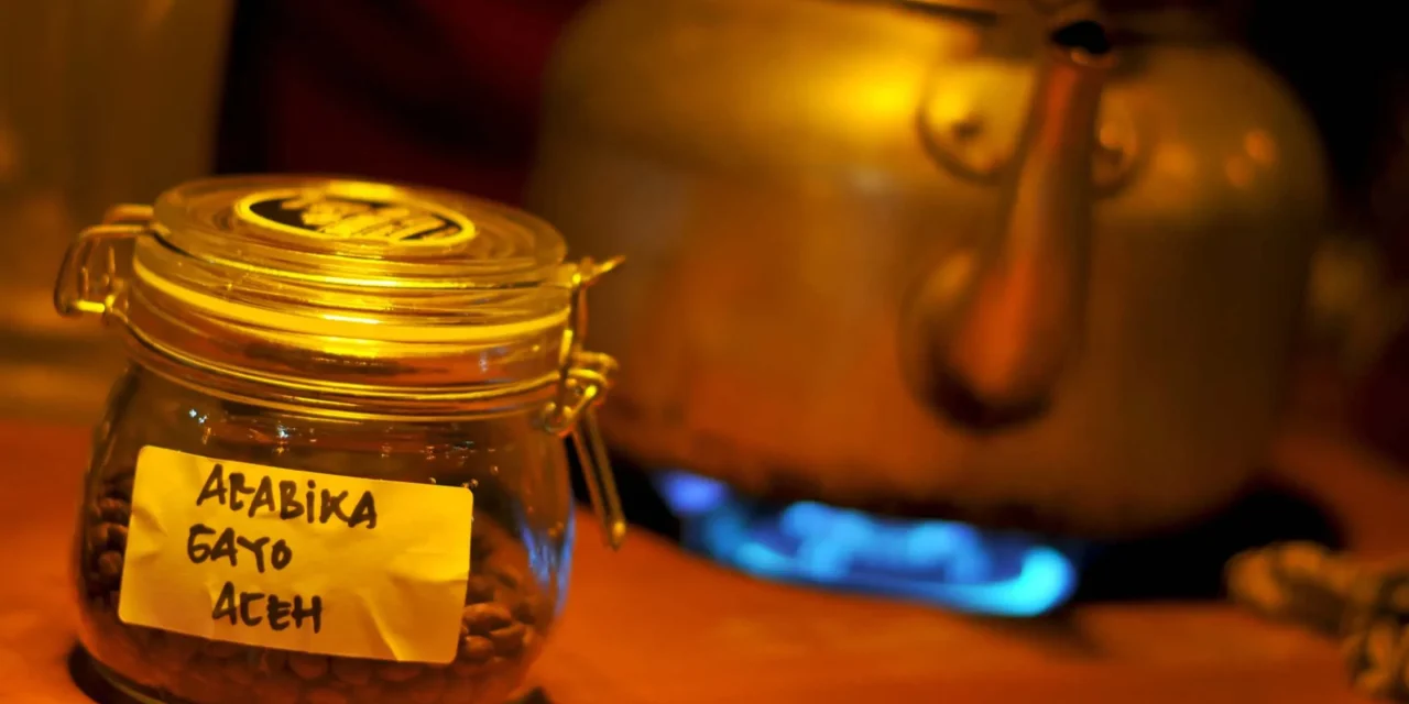 Bukan Cuma Gayo, Intip Jenis Kopi Aceh Yang Jadi Incaran