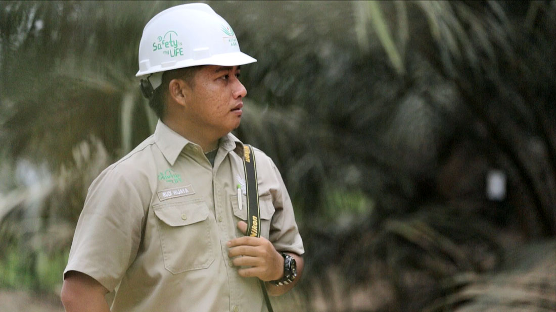 Gak Cuma Jadi Petani, Ini 3 Kerjaan Keren Lulusan Perkebunan