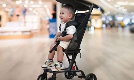 Pilihan Stroller Bayi Tahan Lama Buat Investasi Jangka Panjang