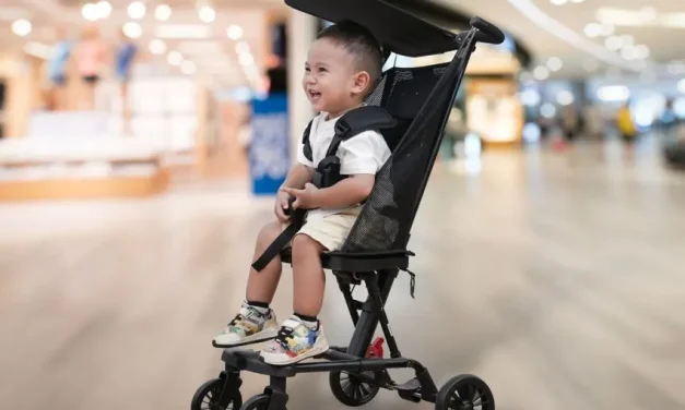 Pilihan Stroller Bayi Tahan Lama Buat Investasi Jangka Panjang