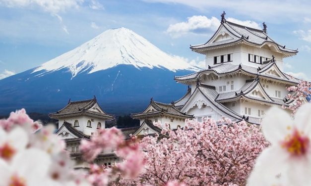 Mau Ke Jepang? Awas Kena Jebakan Makanan Non-Halal!