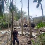 Akhirnya Di Gulung: Usaha Limbah Ayam Ilegal Lebak