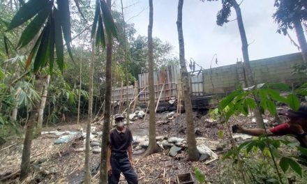 Akhirnya Di Gulung: Usaha Limbah Ayam Ilegal Lebak