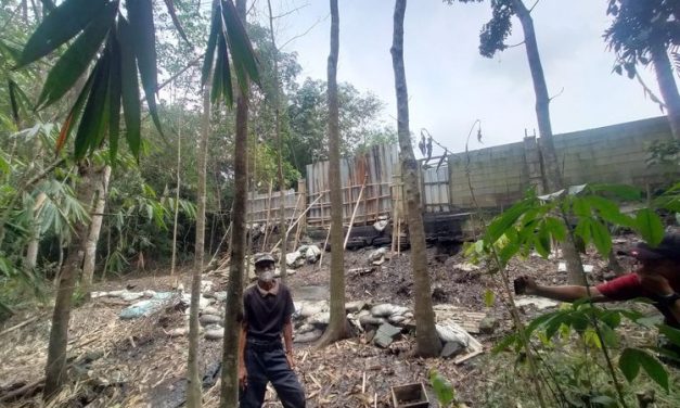 Akhirnya Di Gulung: Usaha Limbah Ayam Ilegal Lebak